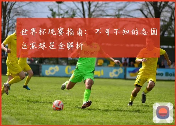 世界杯观赛指南：不可不知的各国当家球星全解析
