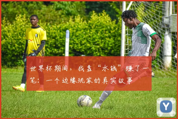 世界杯期间，我靠“水钱”赚了一笔：一个边缘玩家的真实故事