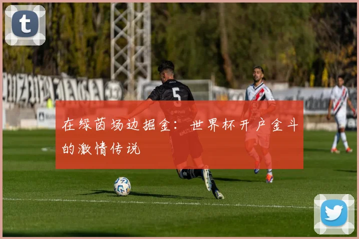 在绿茵场边掘金：世界杯开户金斗的激情传说